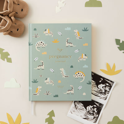 Gift for pregnant girlfriend pregnancy journal
