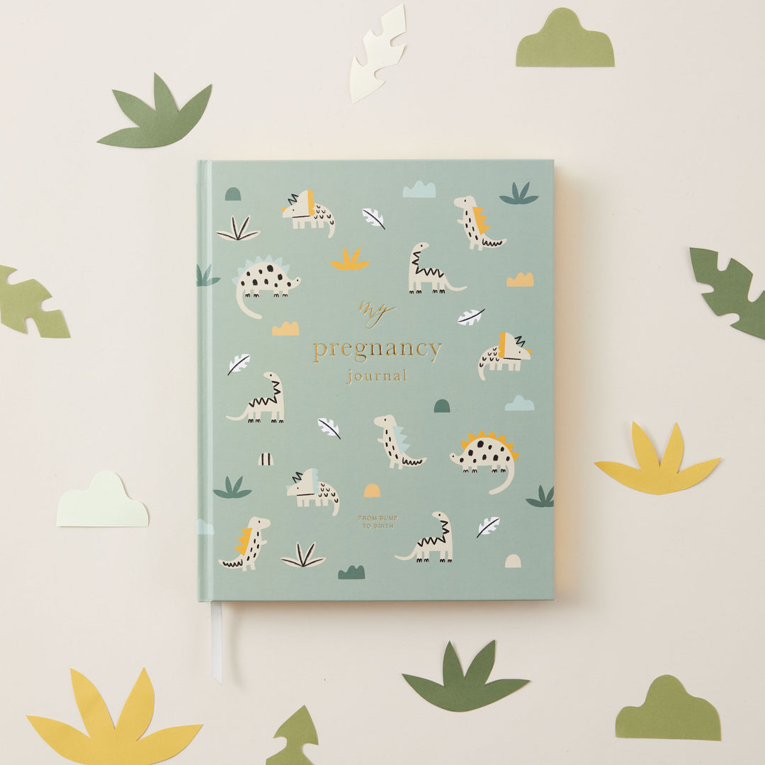 Prompted pregnancy diary week by week