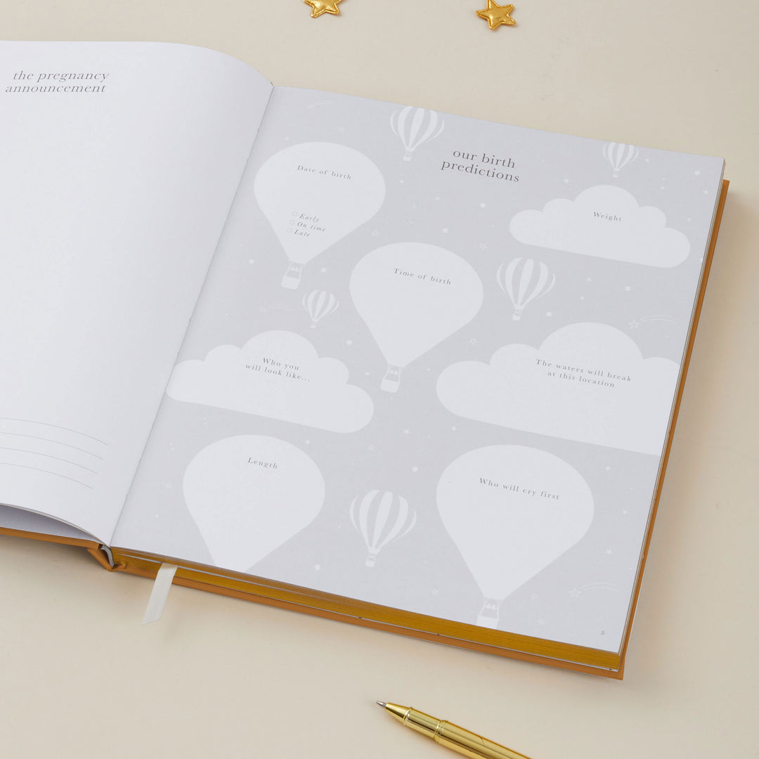 My Pregnancy Journal - Rainbow with Gilded Edges