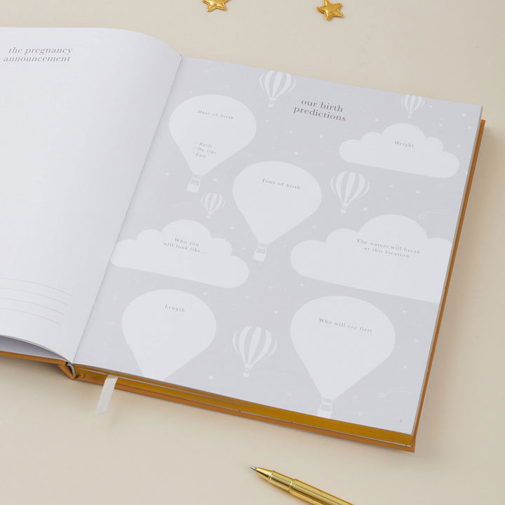 My Pregnancy Journal - Rainbow with Gilded Edges