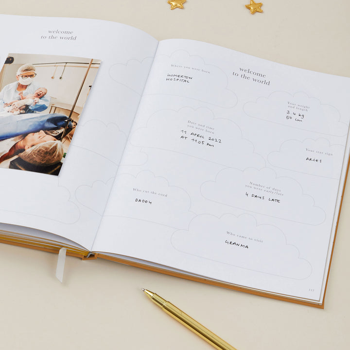 My Pregnancy Journal - Rainbow with Gilded Edges