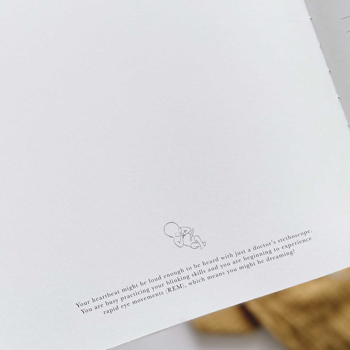 My Pregnancy Journal - Rainbow with Gilded Edges