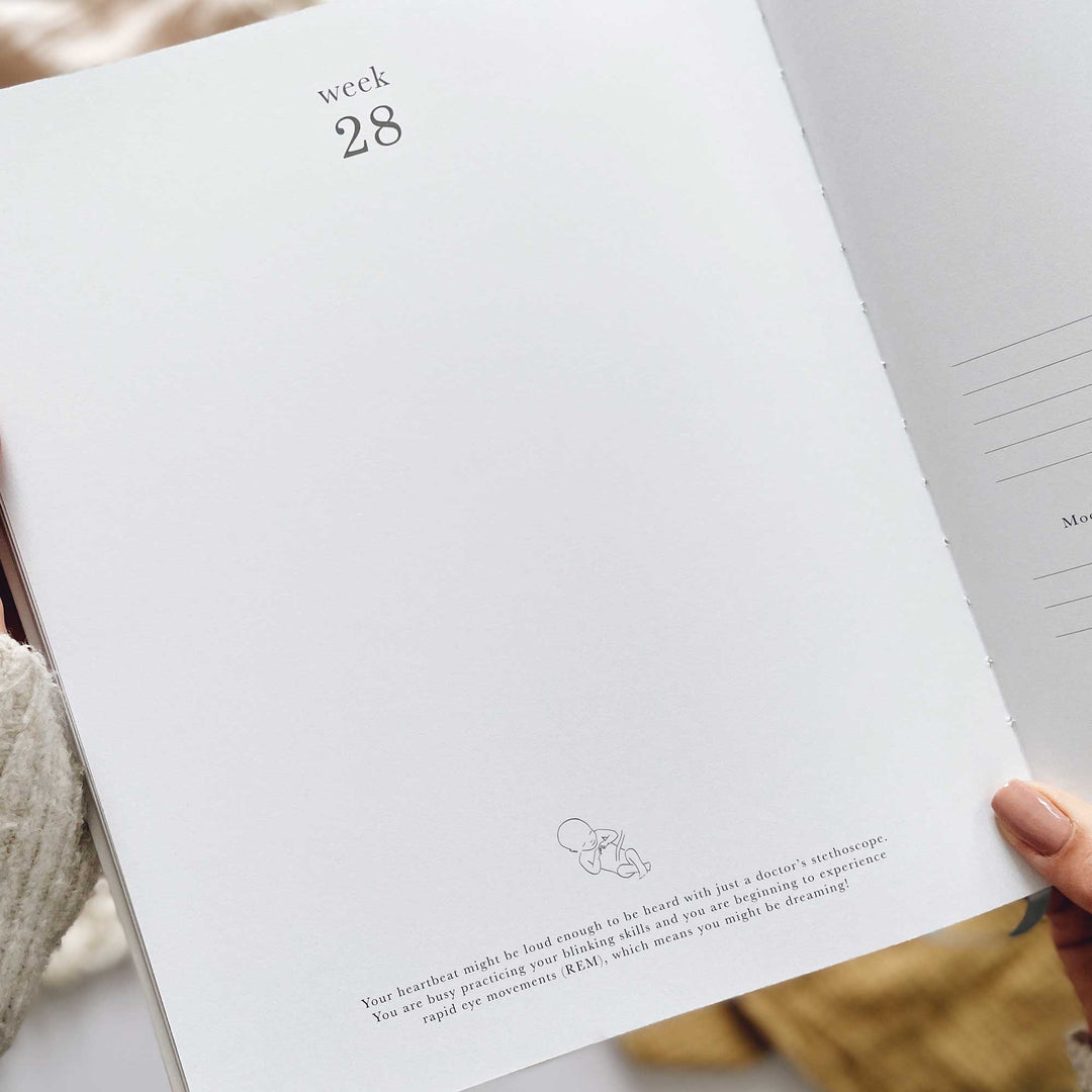 My Pregnancy Journal - Rainbow with Gilded Edges