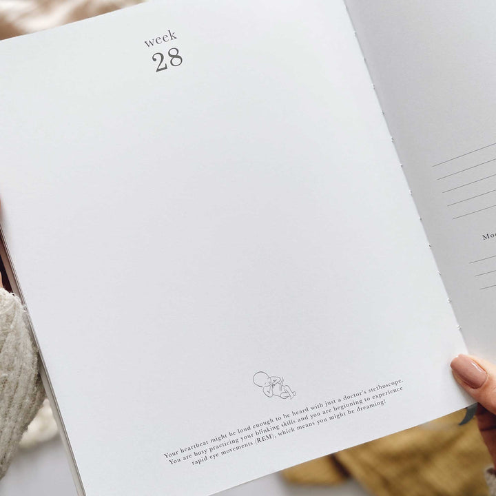 My Pregnancy Journal - Rainbow with Gilded Edges