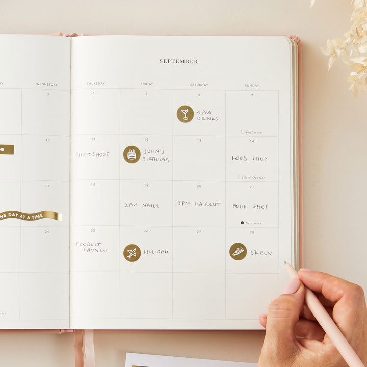 Soft pink vegan leather 2025 weekly planner with gold details, offering weekly time-blocking, equal space for each day, to-do lists, and sections for notes and monthly goals.