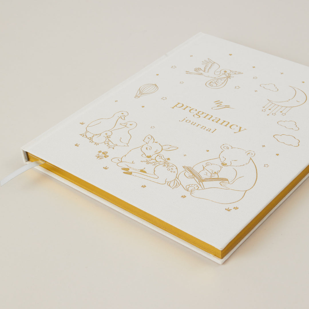 Pregnancy journal with illustrations on a light background