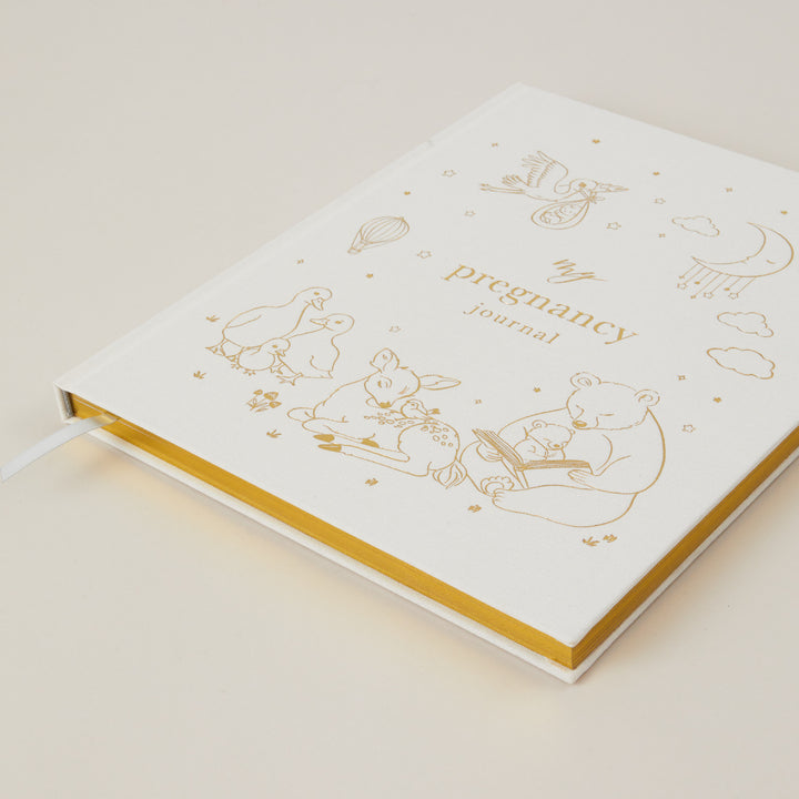 Pregnancy journal with illustrations on a light background