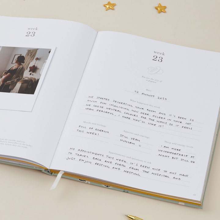 Diary for pregnancy