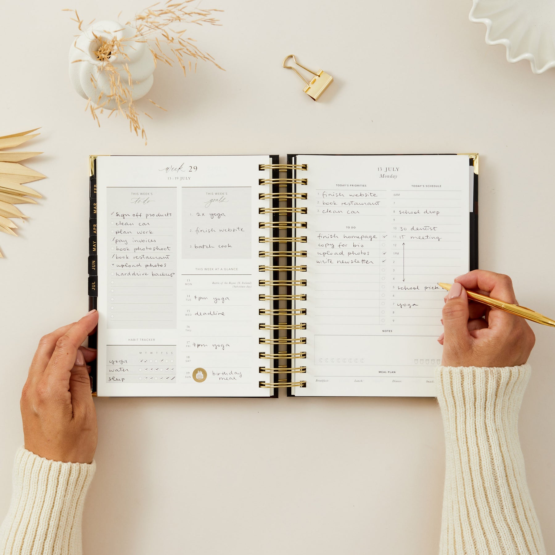 2026 Daily Planner - Daily Planner Tortoise Design β Blush and Gold