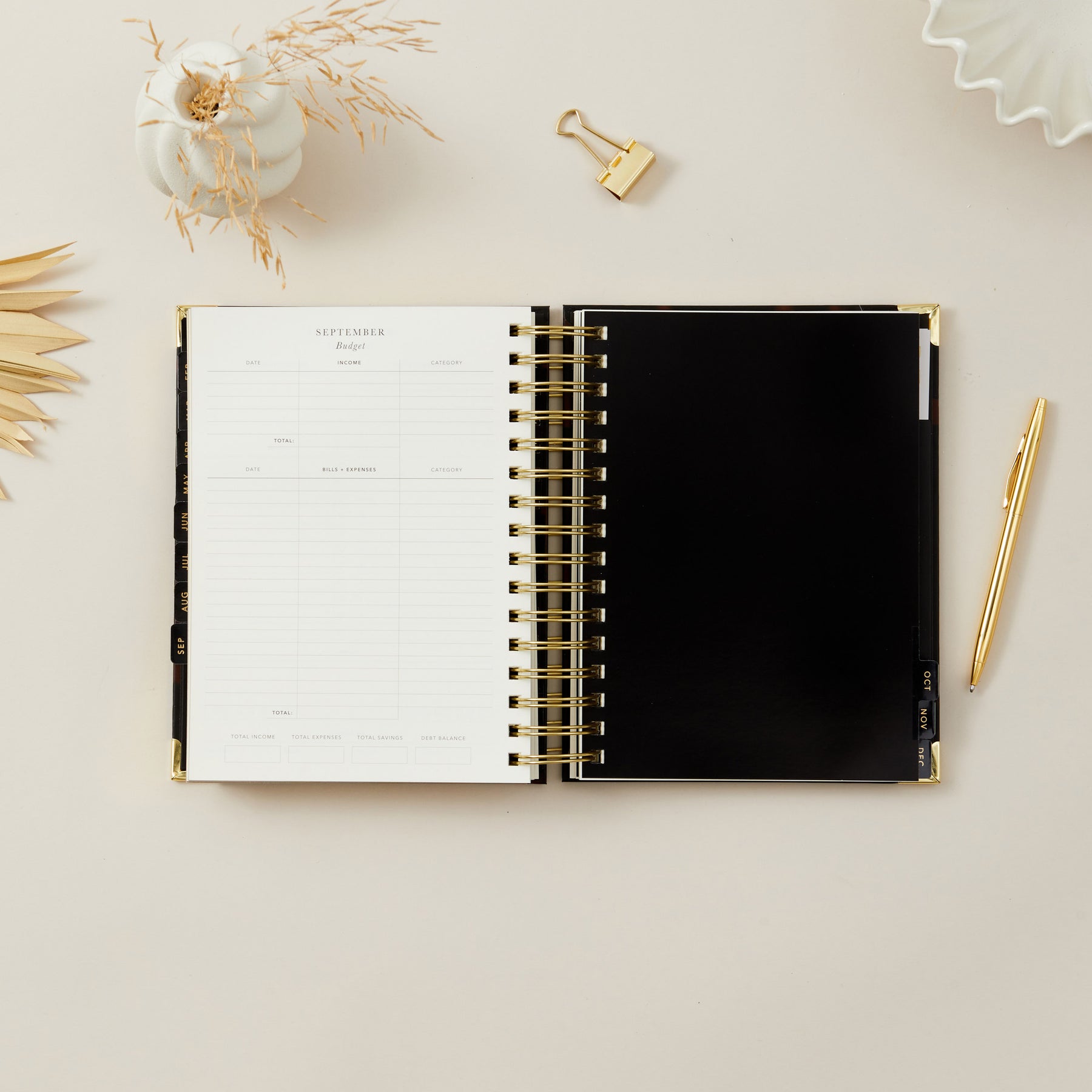 2026 Daily Planner - Daily Planner Tortoise Design β Blush and Gold
