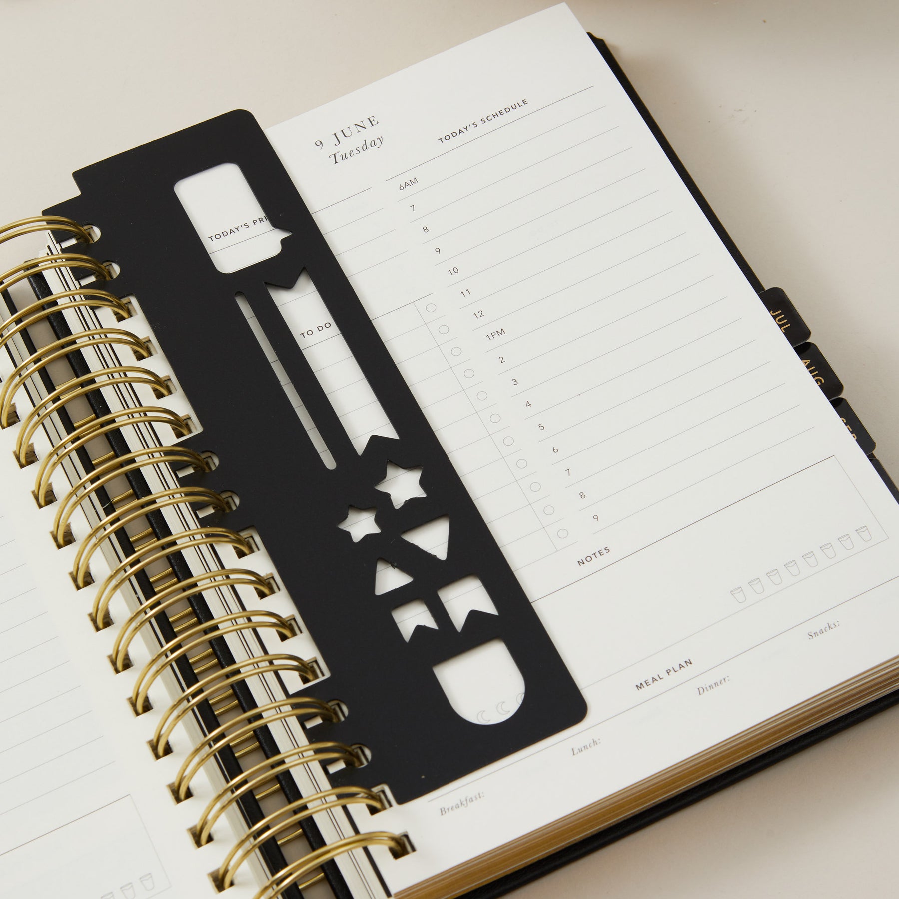 2026 Daily Planner - Daily Planner Tortoise Design β Blush and Gold